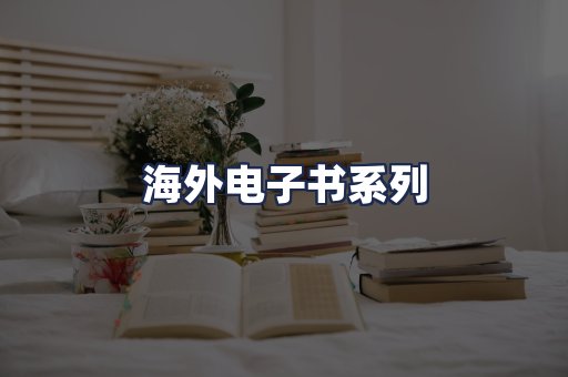 海外电子书系列